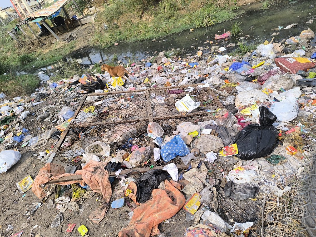 ఏ విజయేందర్ రెడ్డి సీనియర్ జర్నలిస్ట్ tweet media