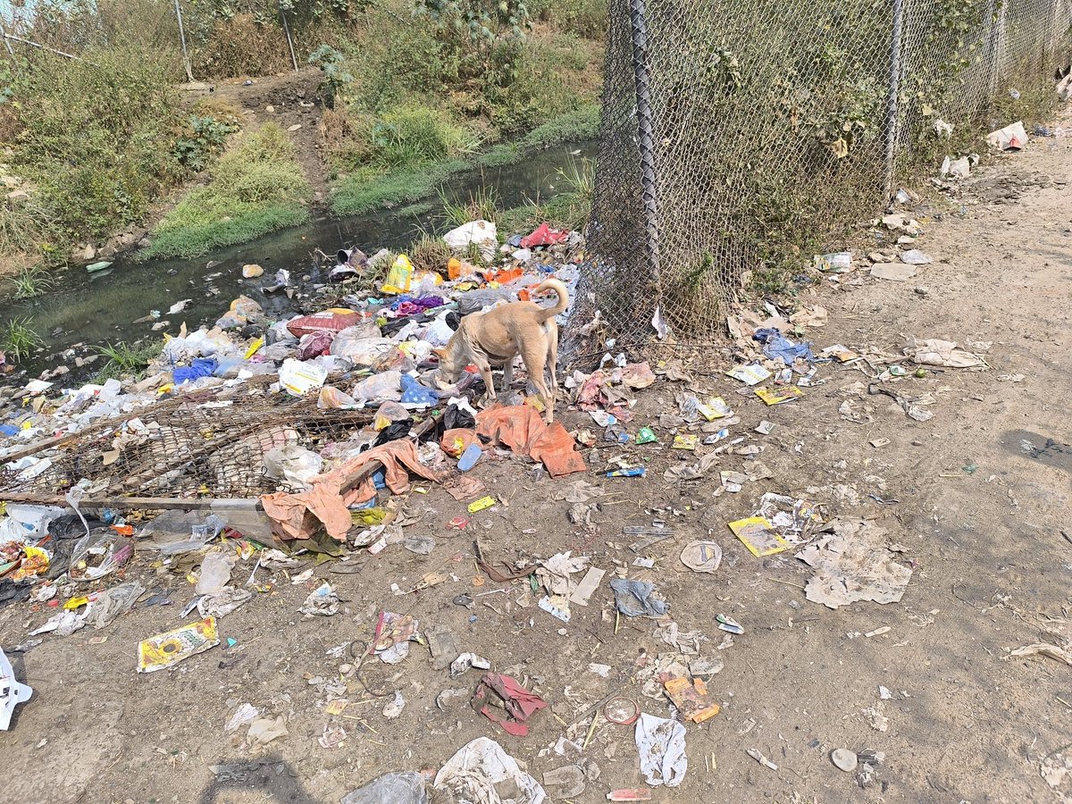 ఏ విజయేందర్ రెడ్డి సీనియర్ జర్నలిస్ట్ tweet media