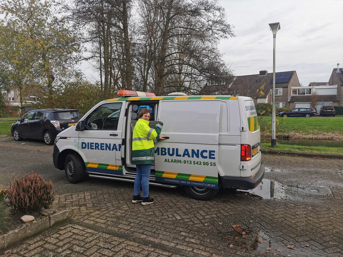 De egel is inmiddels in goede handen.