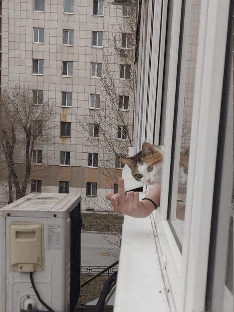 呃…真的不要过来私聊我让我带活动了….我只是个单男..没资源…特别是那些主页一打开就是自拍大JB照…看见就不想搭理….毕竟我JB短小，看着自卑，看着膈应..