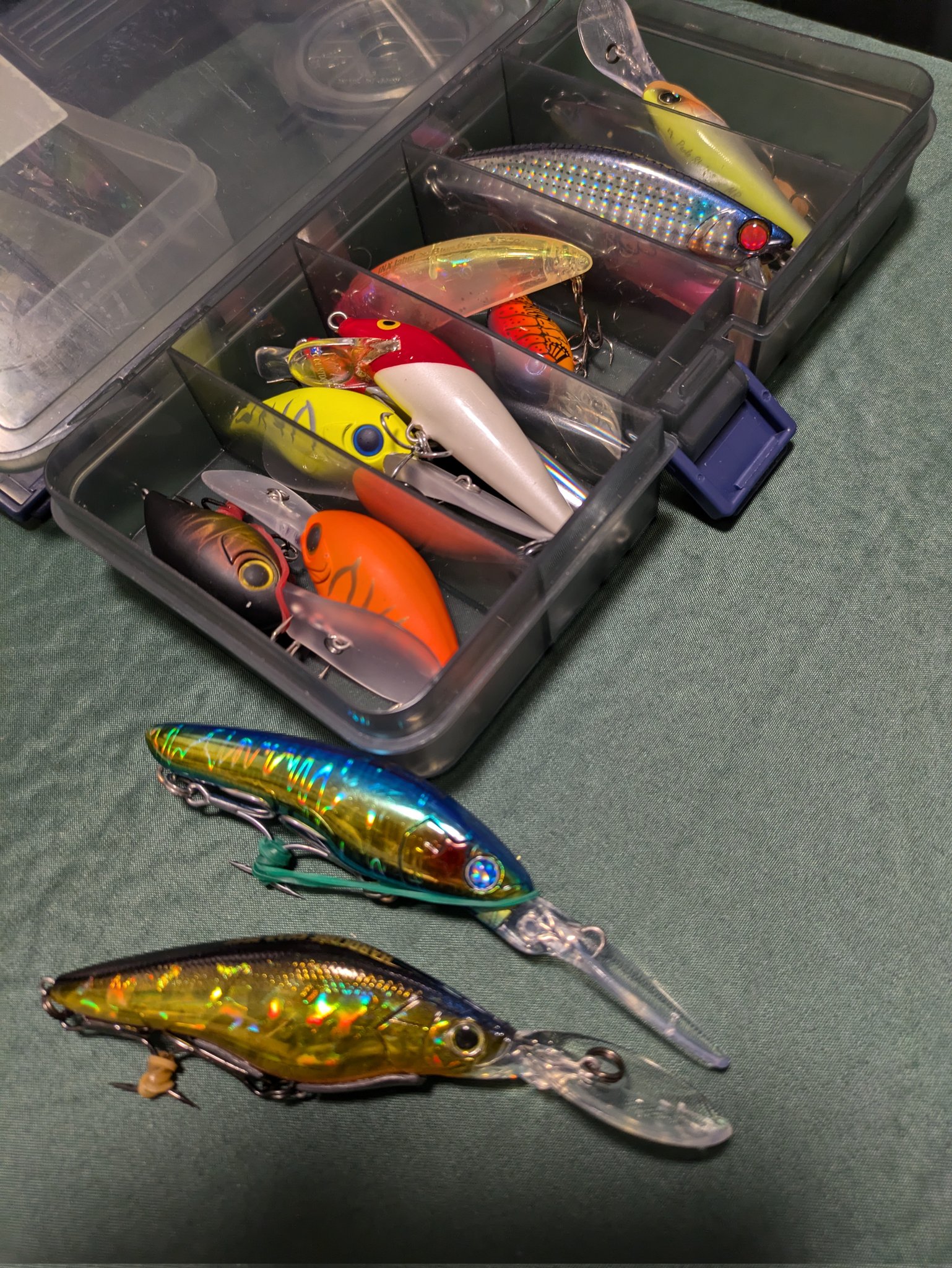 メバルプラグ - Search / X