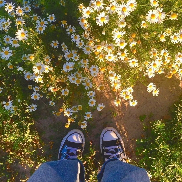 peacozy's tweet image. 