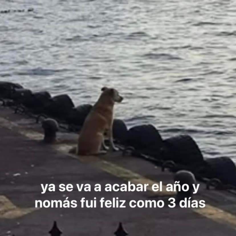 En Júpiter (@en_jupiter_) on Twitter photo 