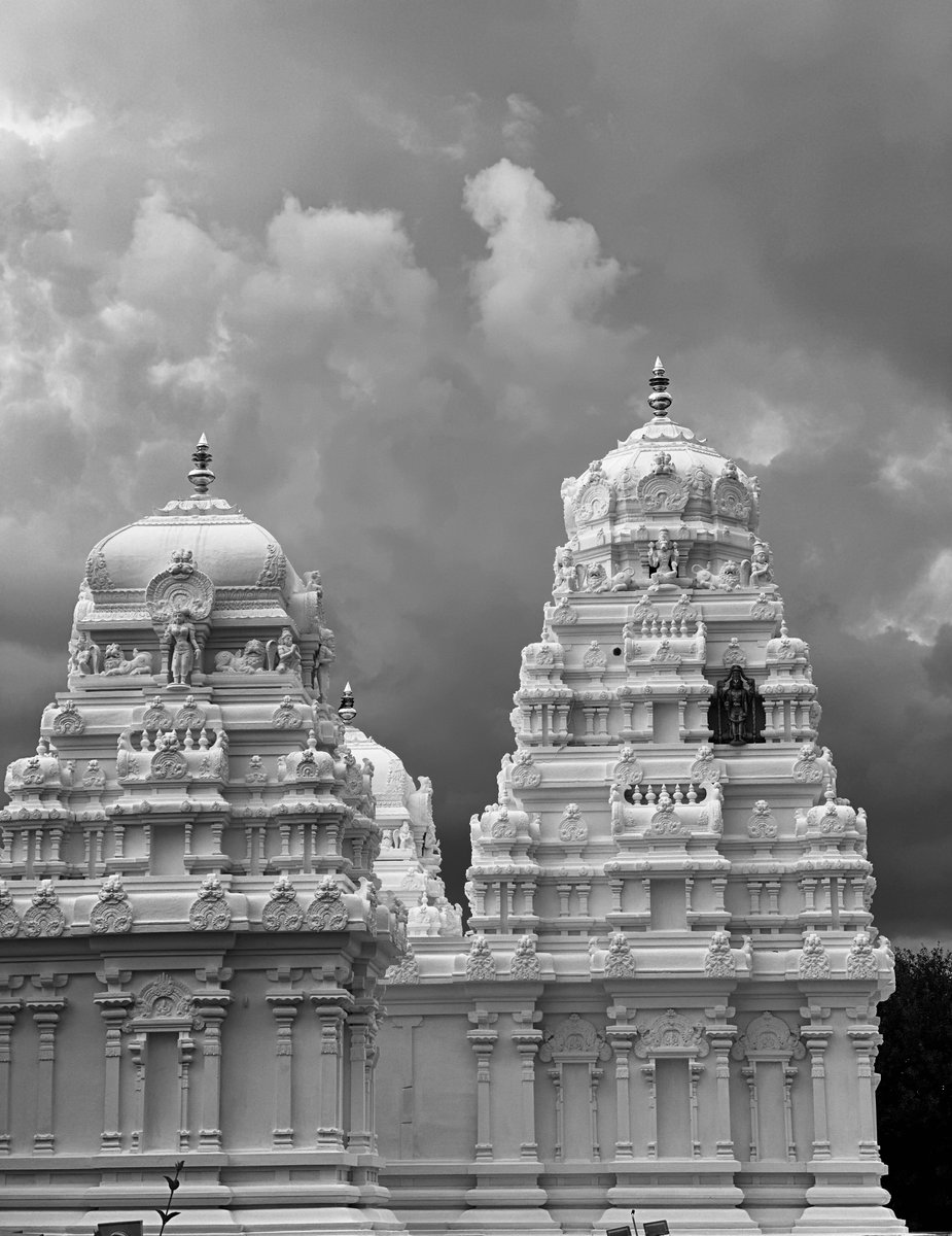 𝒟𝒾𝓋𝓎𝒶 tweet media