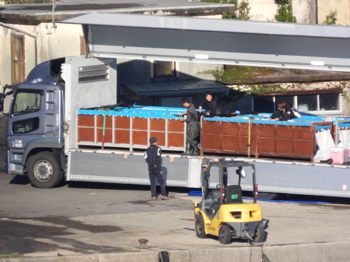 janischshane's tweet photo. It was a BlueCove today in the #cove in #TaijiJapan but 4 more dolphin were going to be transported in this truck it will be a life of misery for them and we just keep going to aquariums. I think its really sad  that humans exploit 🐬. it's cruel to do so. 
Credits Kunito seko https://t.co/N6a9xSP3Ua