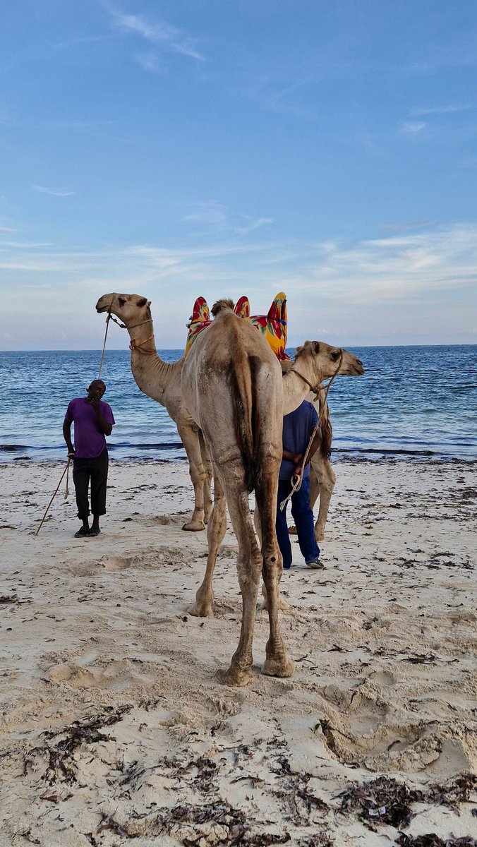 justagirl321's tweet photo. #Mombasa #Kenya https://t.co/VxqO707OAZ