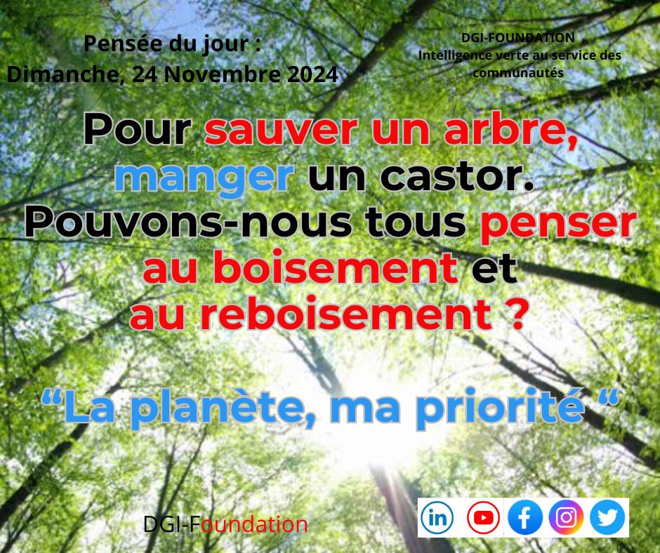 Avez-vous déjà planter un #arbre 🌲 dans votre vie ? 
Je #plante un #arbre, je #sauve des #vies. 
#COP29Azerbaijan 
<a href="/DgiFoundat52511/">DGIFoundation</a>