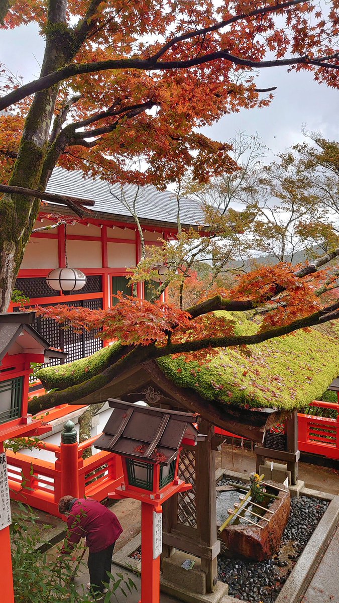 鞍馬寺何年ぶりだろう