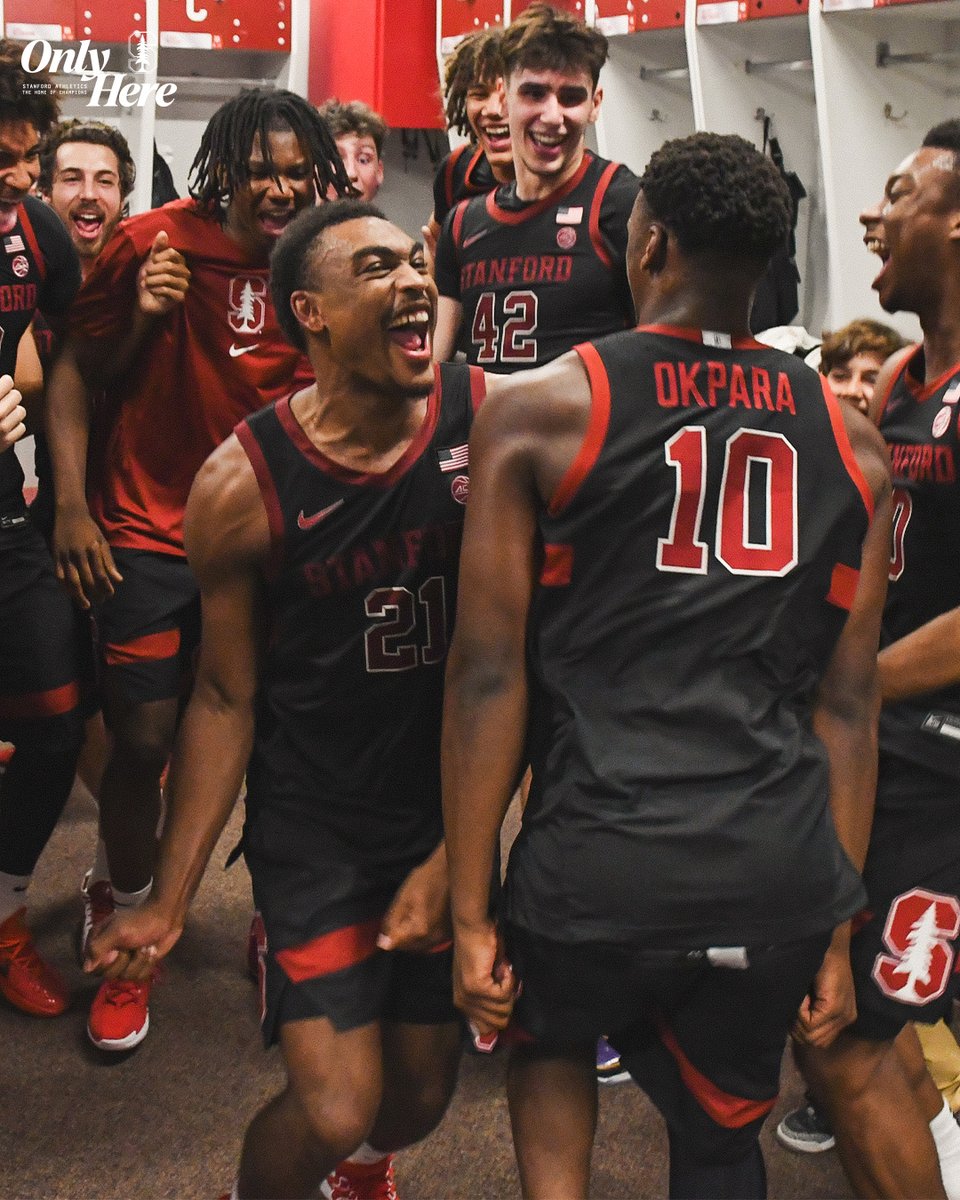 That 6-0 feeling 🌲🌲🌲