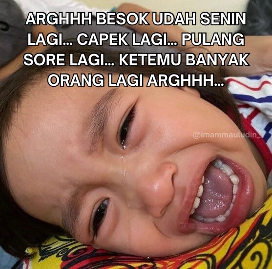 Imam Mauludin (@imammauludin_) on Twitter photo 