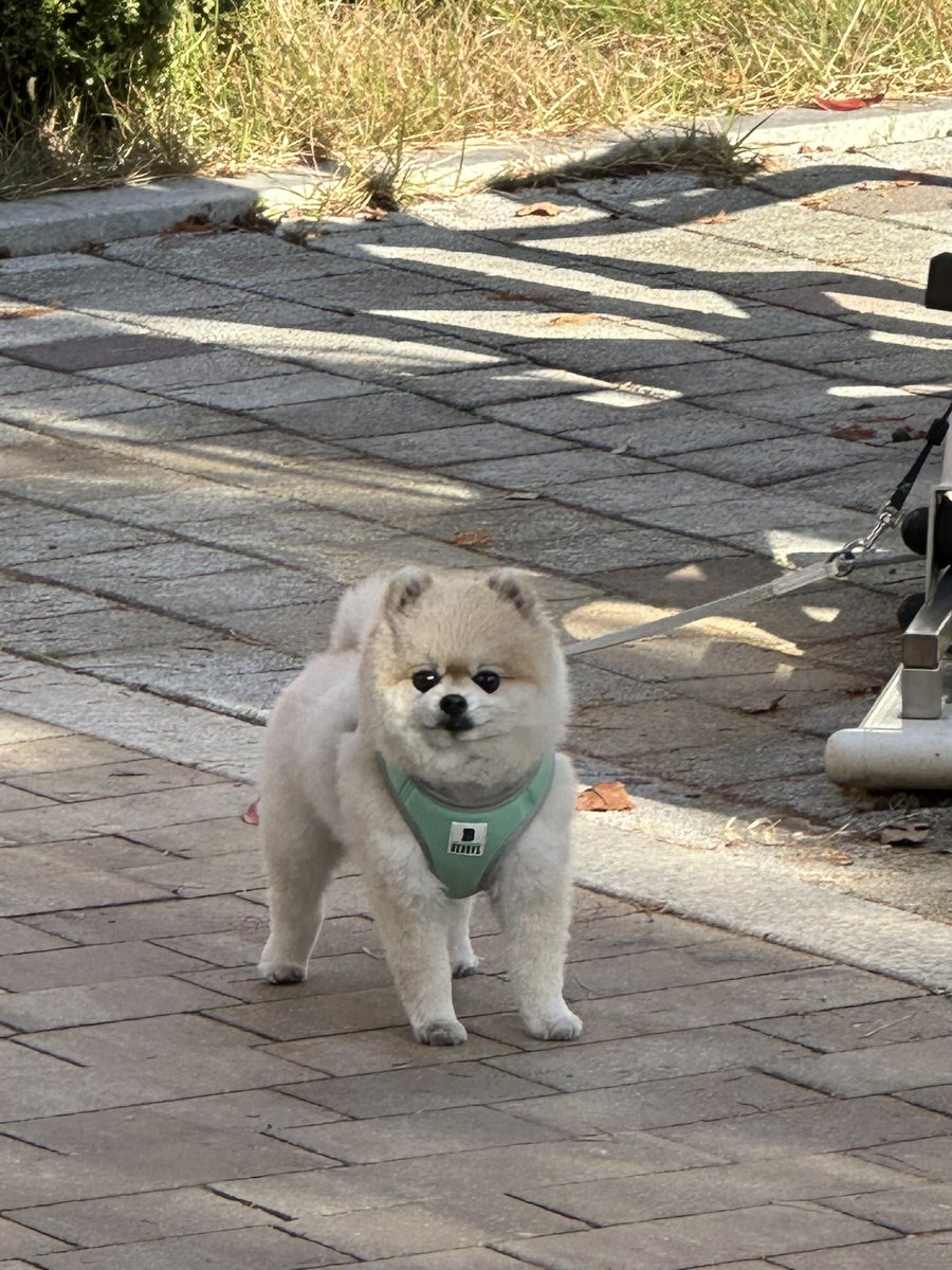 세상속에 던져진 나