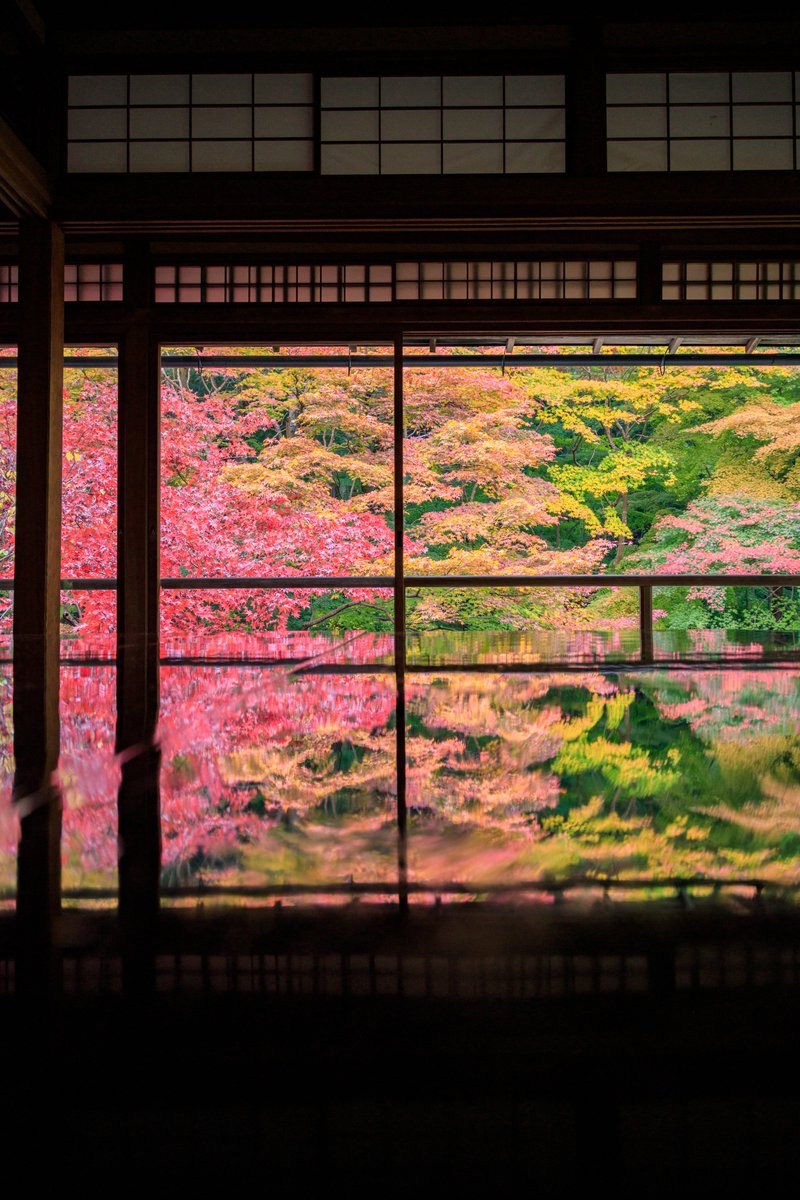 瑠璃光院の窓で愉しむ秋の移り変わり