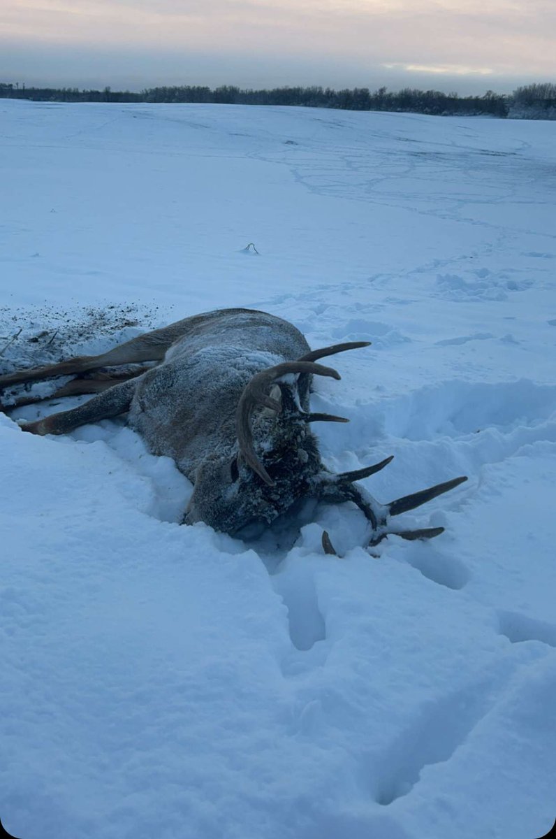 Tony Beard tweet media