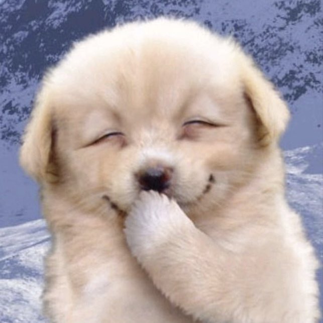 เจน่อคิกคิก