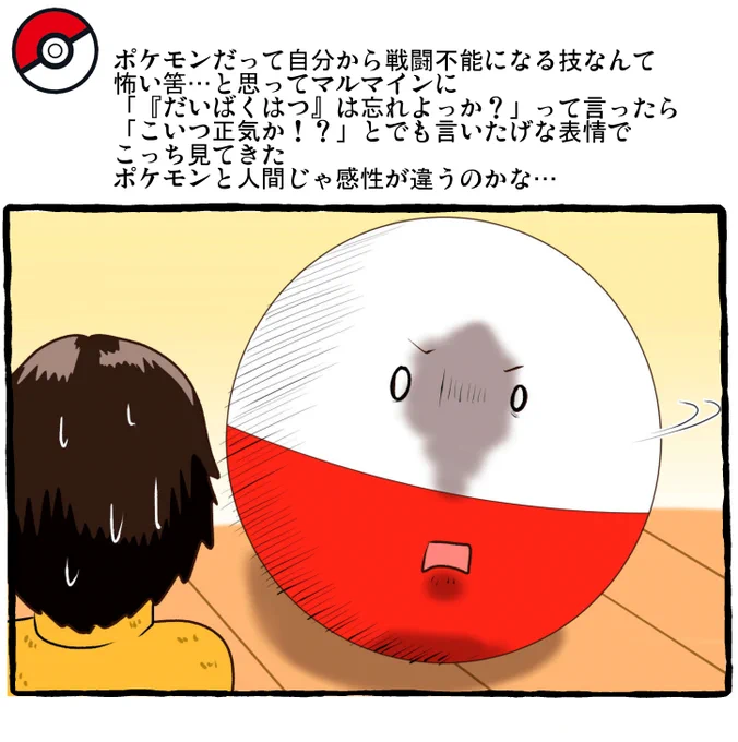 ポケモンと日常 マルマイン #ポケモンと生活 スレ→https://bbs.animanch.com/board/4039540