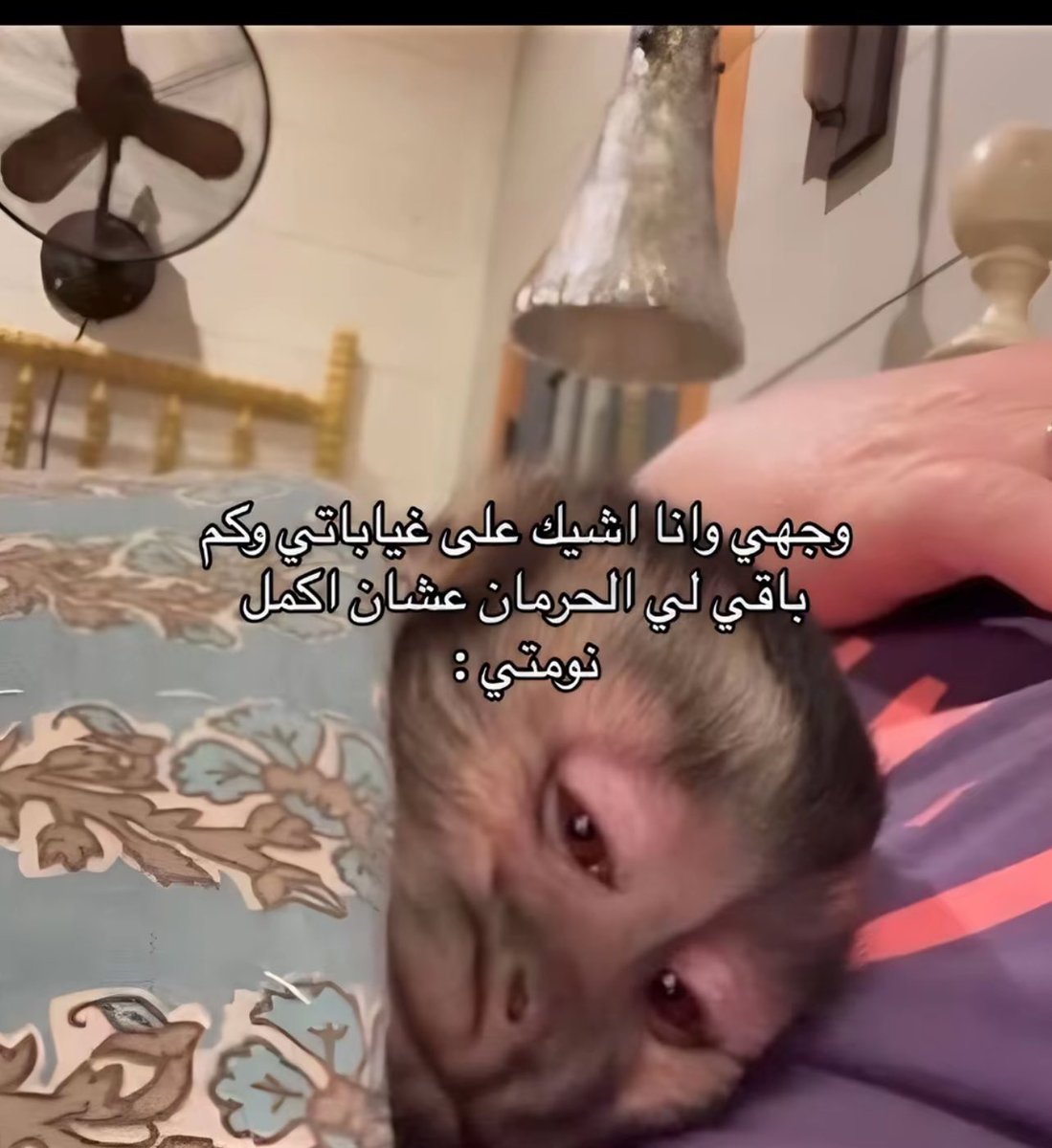 ٍ (@e_burw) on Twitter photo 