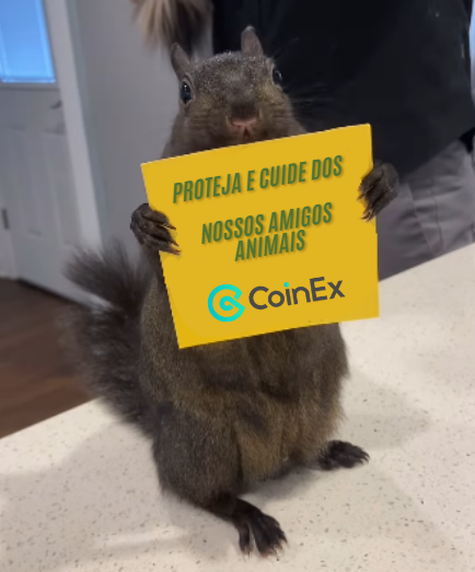 MarceloLCSAP's tweet photo. @CoinexPortugues "Proteja e cuide dos nossos amigos animais"
Em homenagem ao esquilo que foi injustamente sacrificado!
#CoinExPNUT https://t.co/WhdLF8NOOl