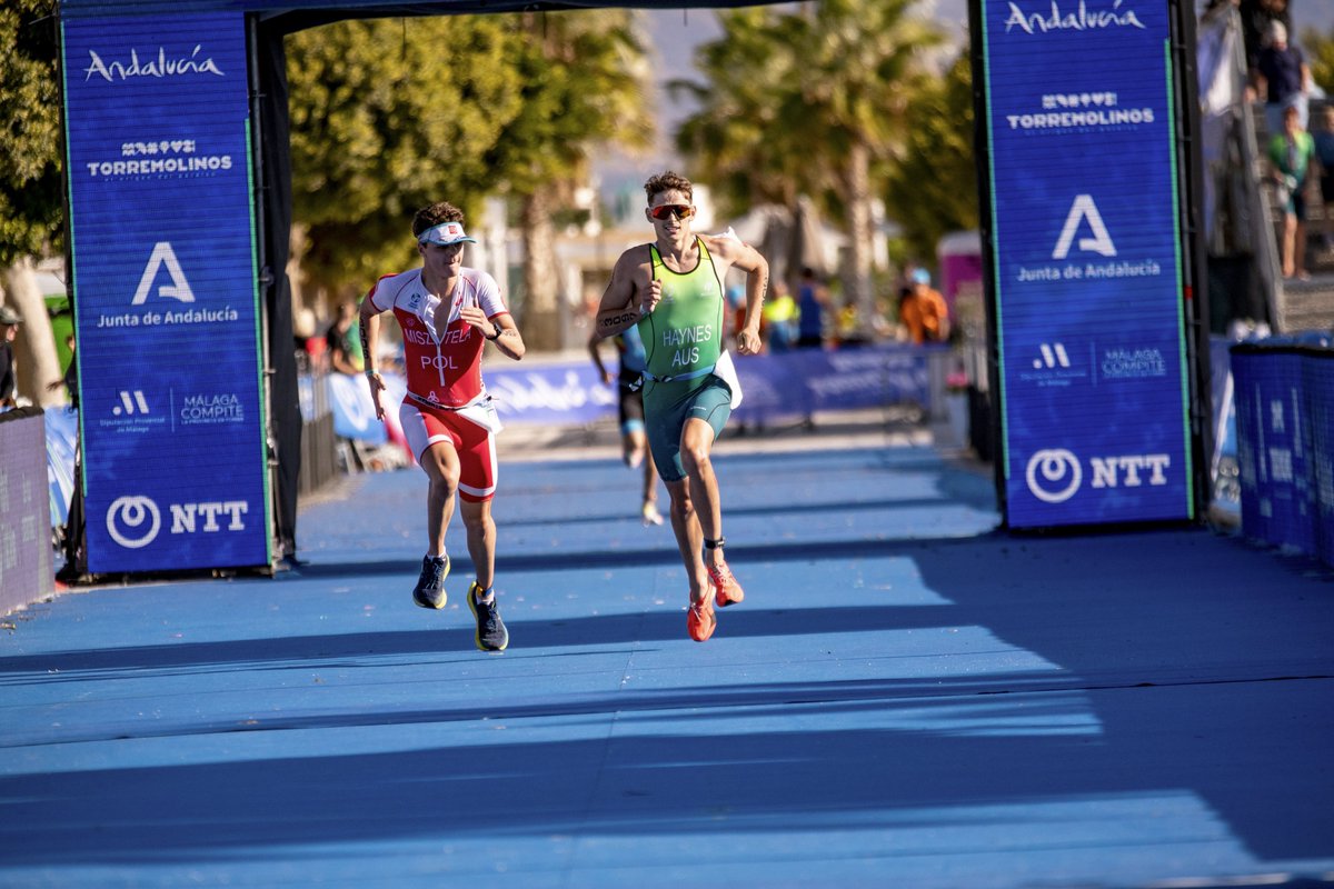 World Triathlon Age-Group tweet media