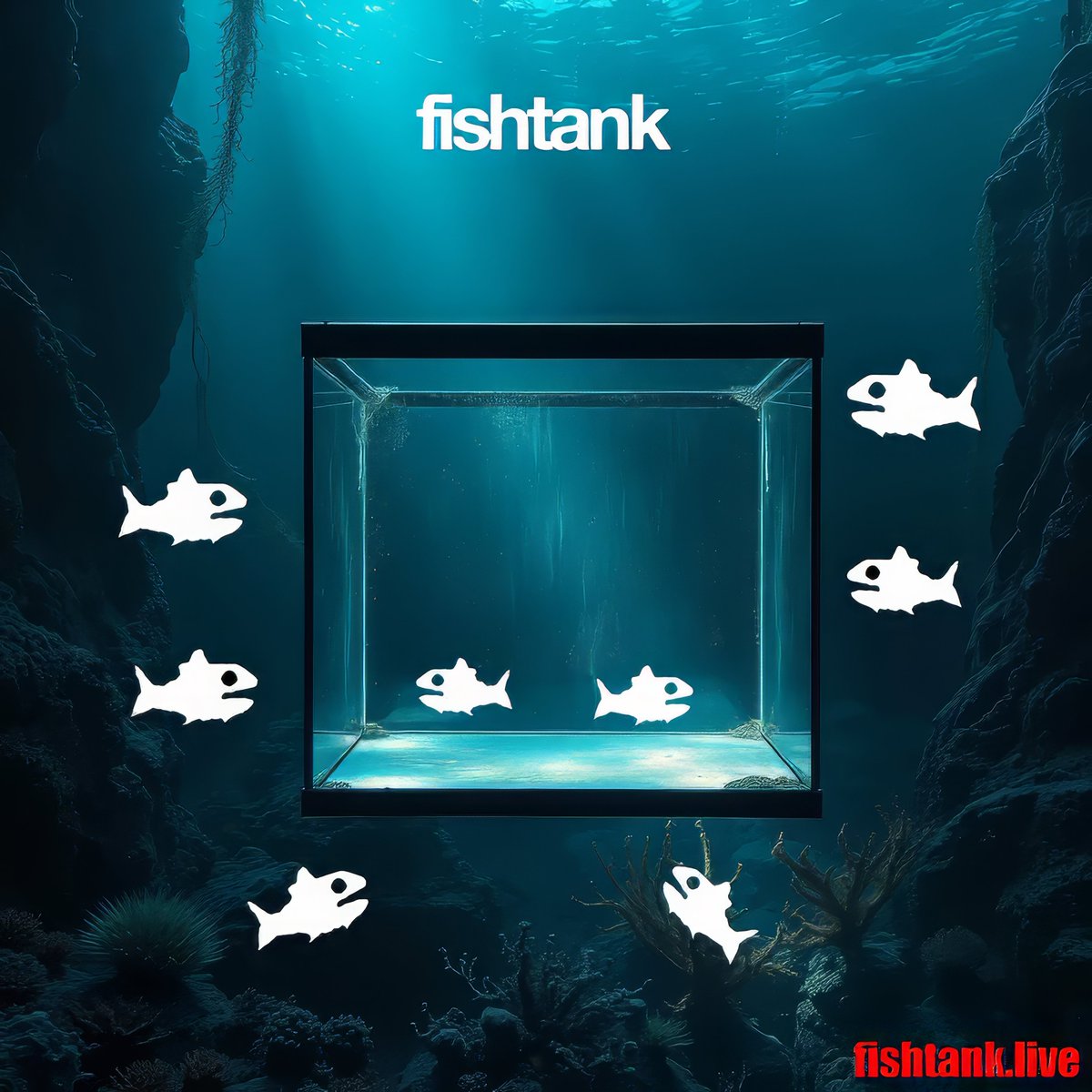 darkenix123's tweet photo. #fishtanklive #bbuk #bb26 #mizzy #lifeismizzy #FishTank #Fishtankdotlive # Burt #Simbal #Payton #Binx https://t.co/rXJTWU8CVM