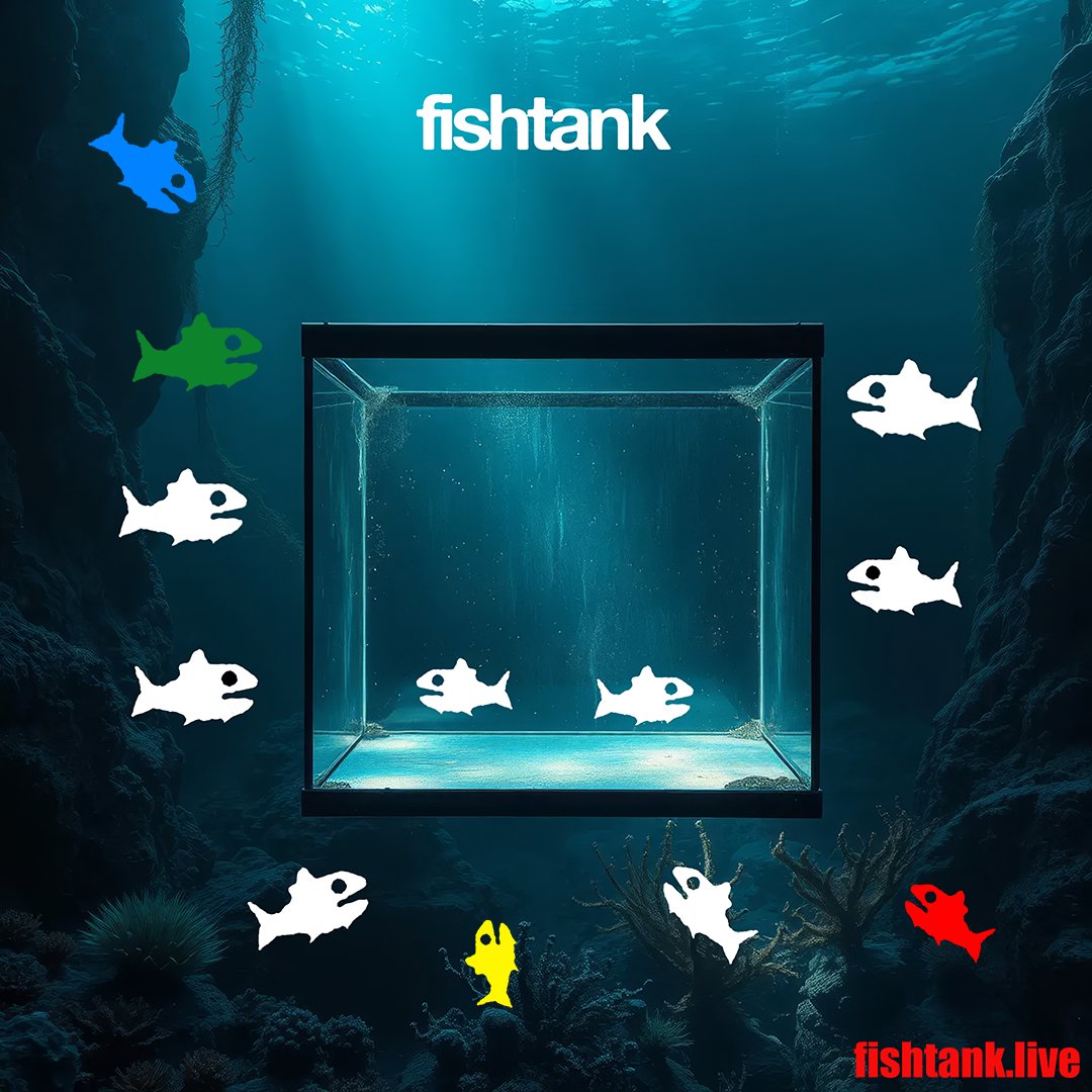 darkenix123's tweet photo. #fishtanklive #bbuk #bb26 #mizzy #lifeismizzy #FishTank #Fishtankdotlive # Burt #Simbal #Payton #Binx https://t.co/rXJTWU8CVM