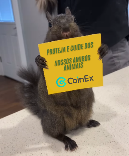 MarceloLCSAP's tweet photo. "Proteja e cuide dos nossos amigos animais" Em homenagem ao esquilo que foi injustamente sacrificado! #CoinExPNUT https://t.co/Kyu5j23ZVZ