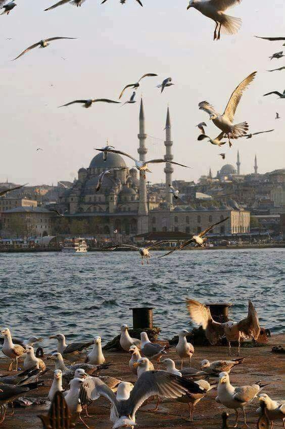 Odayı saran odun kokusu,
Dışarıda çiseleyen bir yağmur,
Sıcak bir çay...
Aklımda çocukluğumdan kalma bir masal...

Nazım Hikmet

#pazar