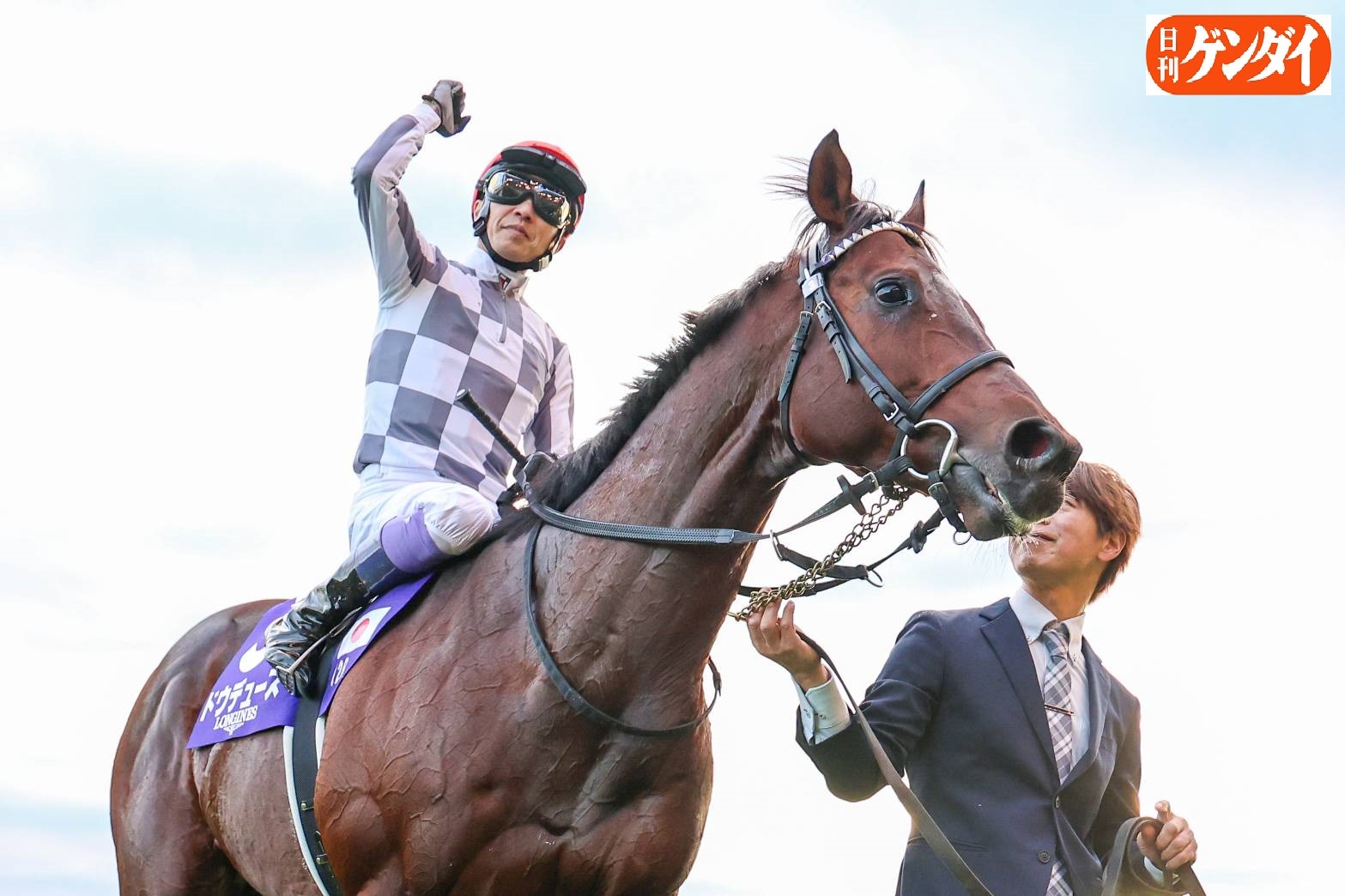 競馬 ゼッケン 実使用 武豊騎乗 GⅠ馬 トーセンスターダム