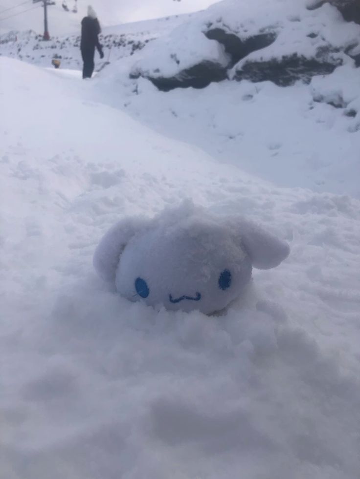 SukiKawaiiland's tweet photo. https://t.co/3T06Tqerni