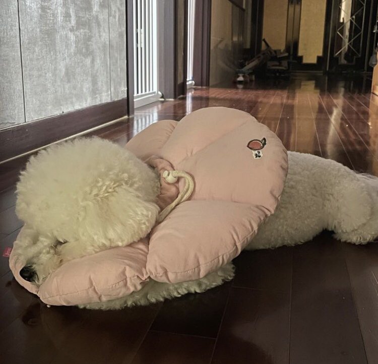 이게 편안해 보이나요?