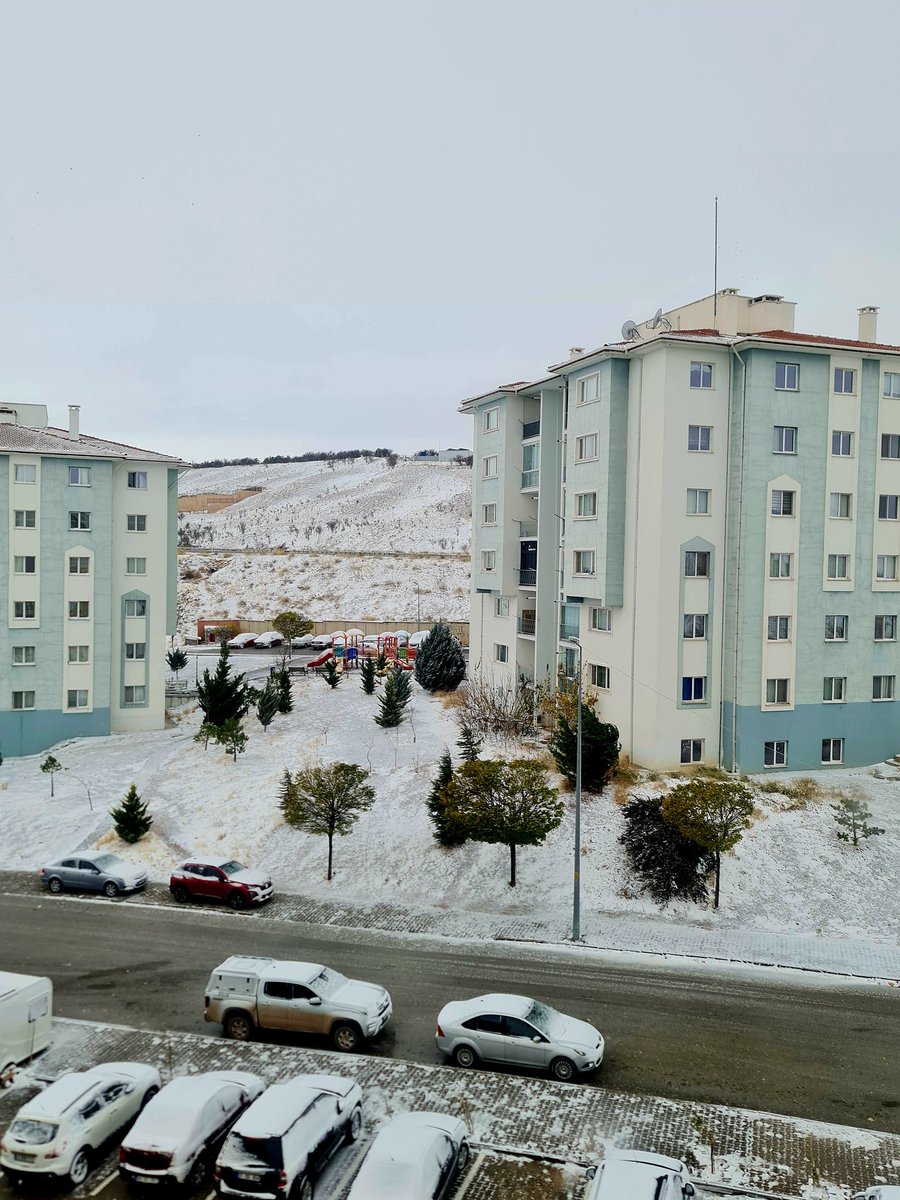 Kırşehir'e yılın ilk karı bugün yağdı. Kuşlar doğru karar vermiş.