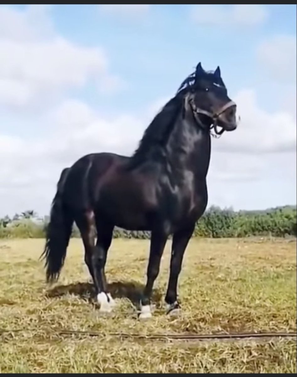 <a href="/InfoFlixx/">InfoFlix 📊</a> ❤️🔥