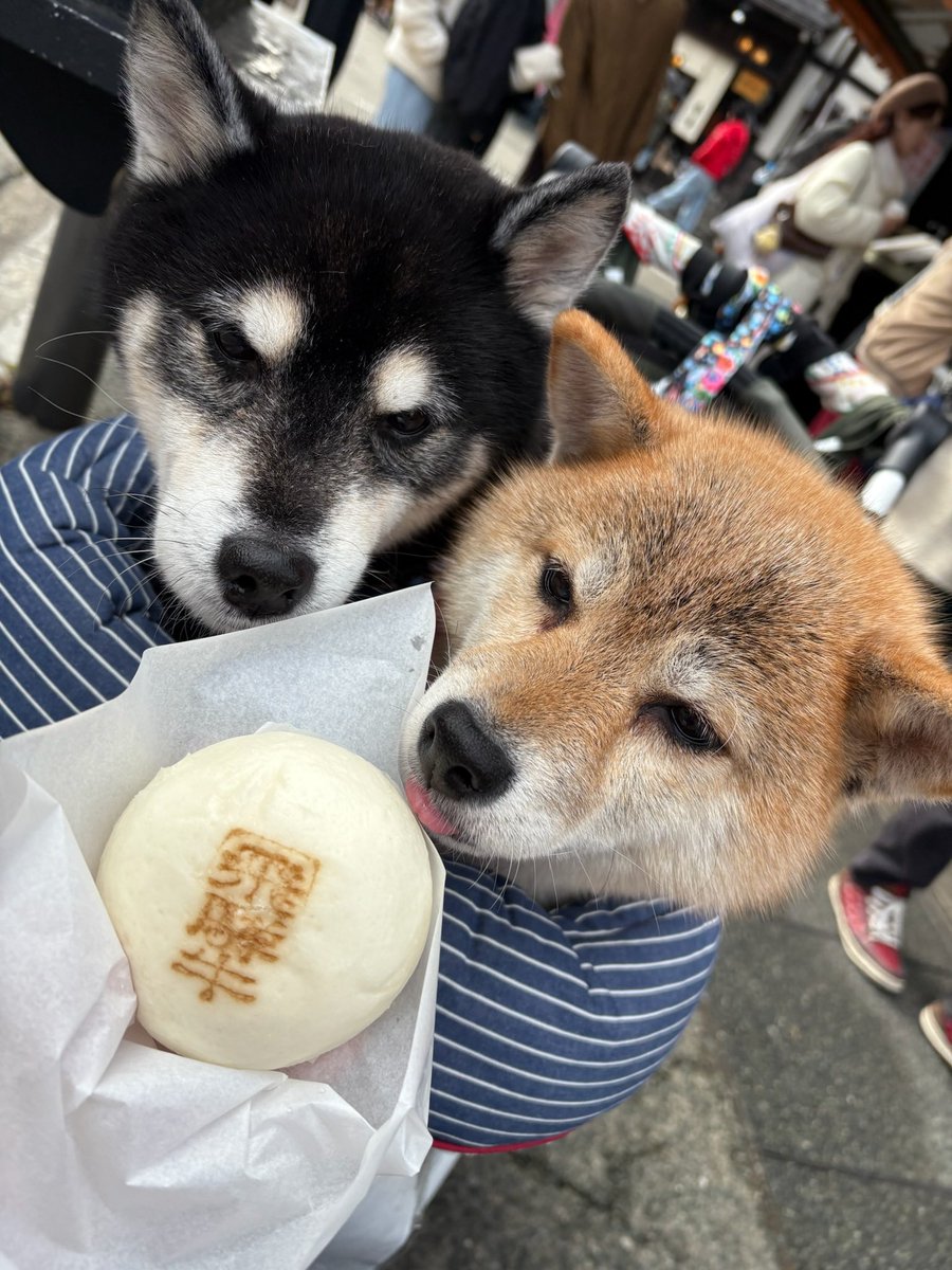kawaiyan's tweet photo. 飛騨牛まん https://t.co/0bLBT8Hri4