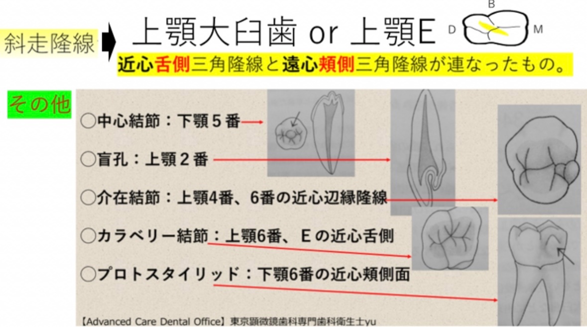 119回歯科医師国家試験対策 ロムニーハウス勉強会【講師 Dr.N】 on X