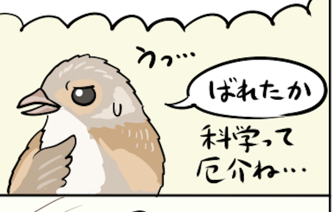 科学って厄介ねTシャツを作ったら、まぁまぁ売れたかもしれない #鳥展 
