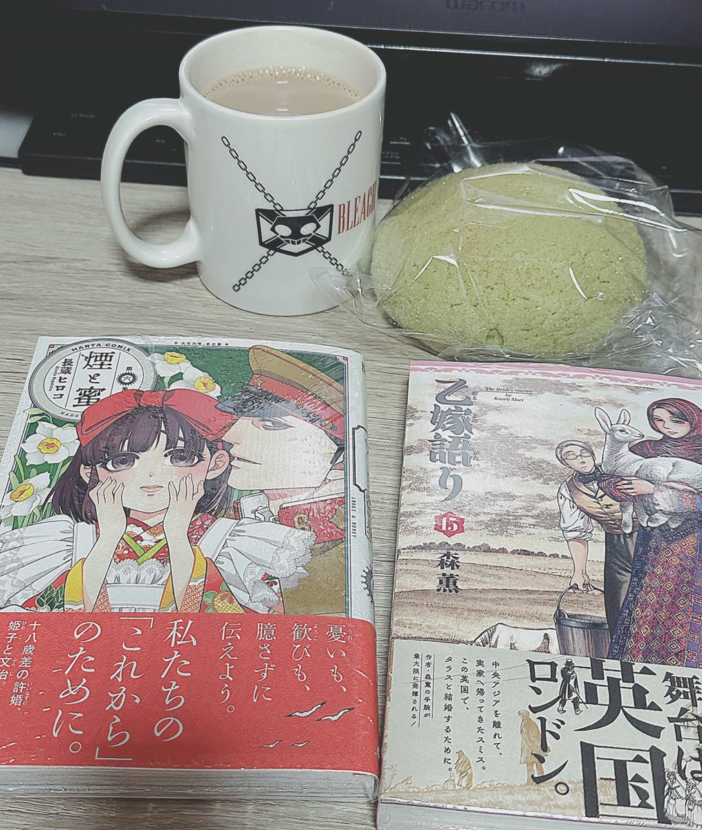 明日は病院なので診察待ち時間に片方読もうと思っているので、今どっちを読もう…久々に紙媒体のコミックスを買った気がする… 