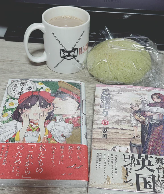 明日は病院なので診察待ち時間に片方読もうと思っているので、今どっちを読もう…久々に紙媒体のコミックスを買った気がする… 