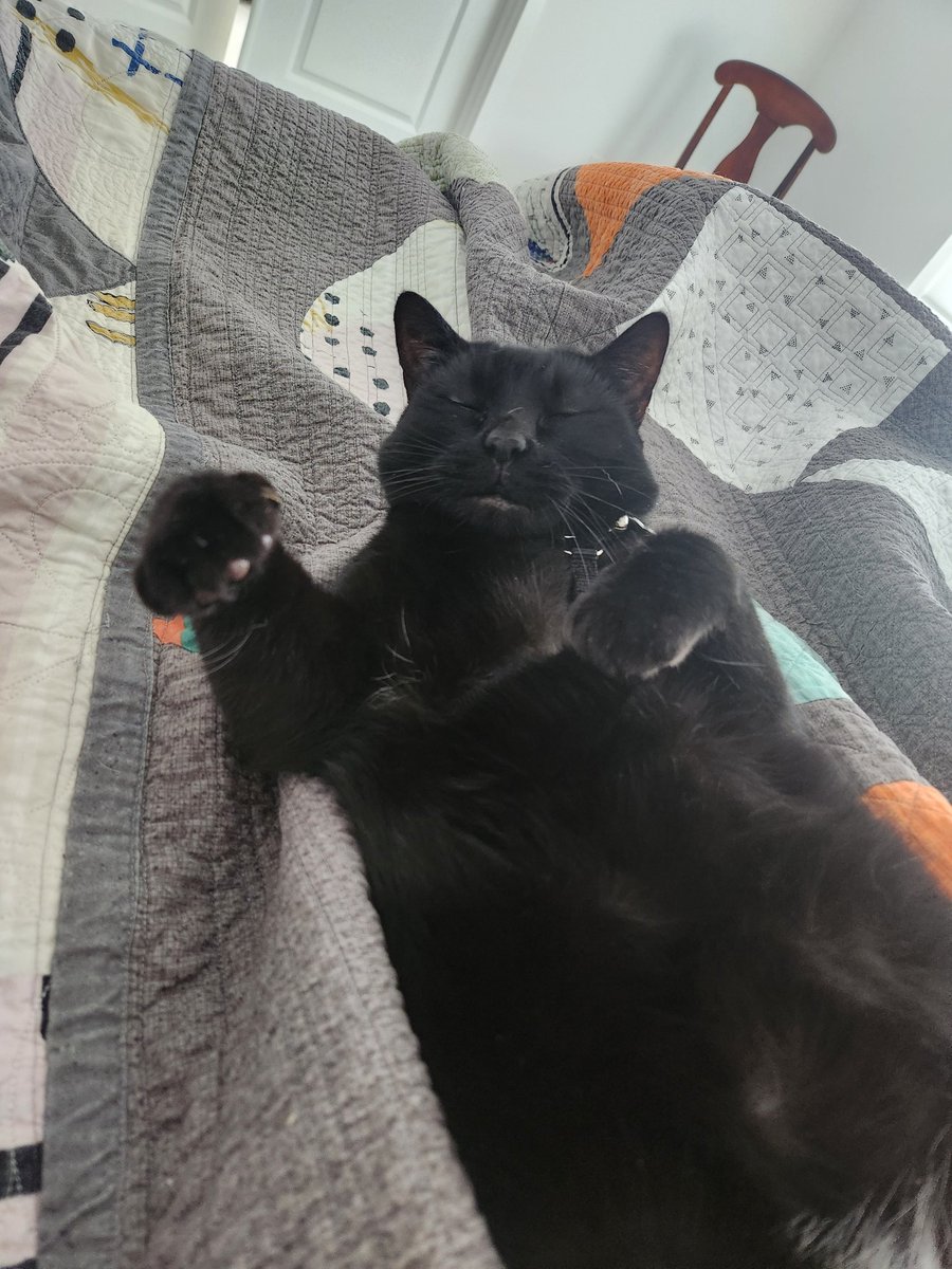 I will not be around on this rare Sunday. Hope you guys have a great one and enjoy this angle of Marla.