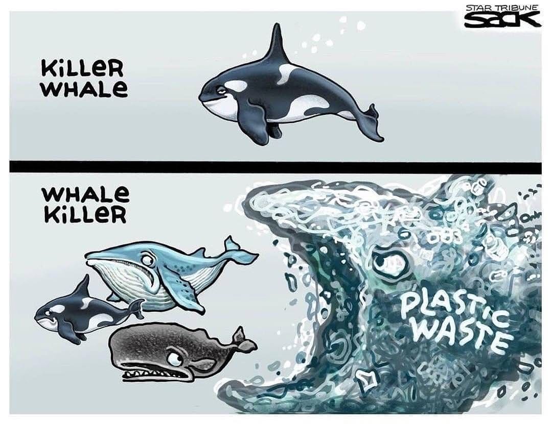 Who’s the real killer now? 🐳🐠

#TiredEarth #ocean #PlasticPollution
