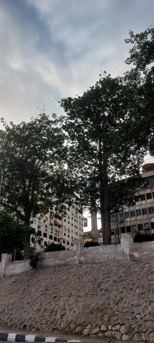 IsssaHs's tweet image. Mansoura in November🍂❄️