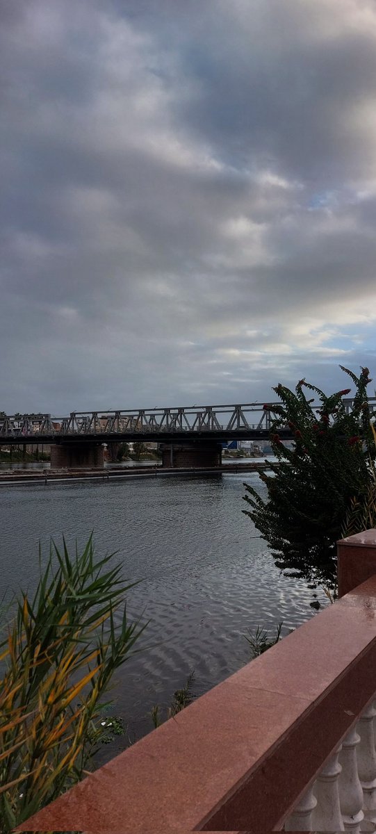 IsssaHs's tweet image. Mansoura in November🍂❄️