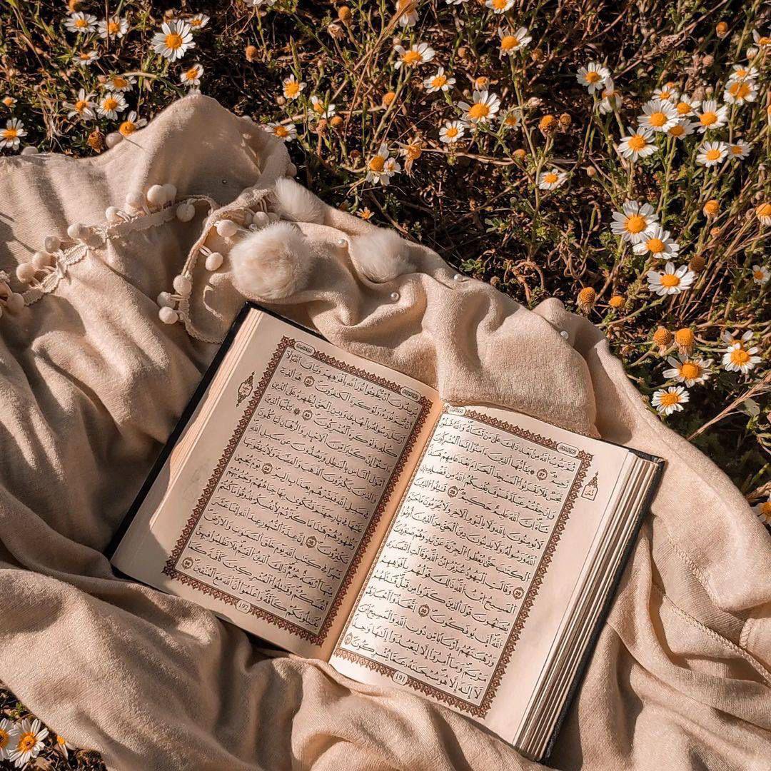 safiya9955's tweet photo. "*للقُرآن سطوة عجيبة على النفس تجد أثرها واضحًا على المحزُون حين يُفتِّش حوله عن سلوى فتُساق لسمعه آية.. فإذا بقلبهِ يخضع وأمواجه تسكُن، ولسانه ينطلق بالتسليم، حينها يعلم أن النفس بحاجة للتعرُّض لِرسائل القرآن حتى تُدرك معنى الحياة الحقيقية فتهدأ وتصبر.*" https://t.co/xtauwOgBBZ