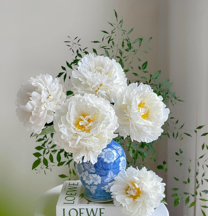 Azusa__Nagasawa's tweet photo. "A white peony is a gentle reminder that true beauty lies in simplicity."
๐ธโจ Embrace the elegance in simplicity, where beauty thrives in the quiet moments. ๐ฟ
#TrueBeauty #Simplicity #WhitePeony #NatureInspiration #ElegantSimplicity #FloralWisdom ๐ผ๐ฟ https://t.co/RAtqiBJFFo
