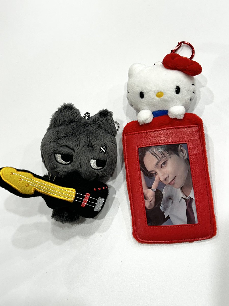 양이 tweet media