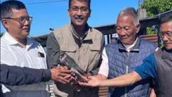 supriyasahuias's tweet photo. In an awe-inspiring feat, Chiuluan2,one of the two satellite-tagged Amur Falcons named after a village in Manipur's Tamenglong district has reached its first stopover site in Somalia in five days and 17 hours after flying non-stop and crossing the Arabian Sea. This incredible migration, part of a study by the Manipur Forest Department, Wildlife Institute of India (WII), and local communities, sheds light on the challenges and routes of these long-distance travelers.
Amur Falcons, known for their epic journeys from Southeast Russia and China to Africa, demonstrate unmatched stamina and navigation, including non-stop flights over the Arabian Sea. Incredible ! 
#amurfalcon #Birdmigration #migratorybirds #wildlife @wii_india @tnforestdept source https://t.co/BWBbPnrgVR