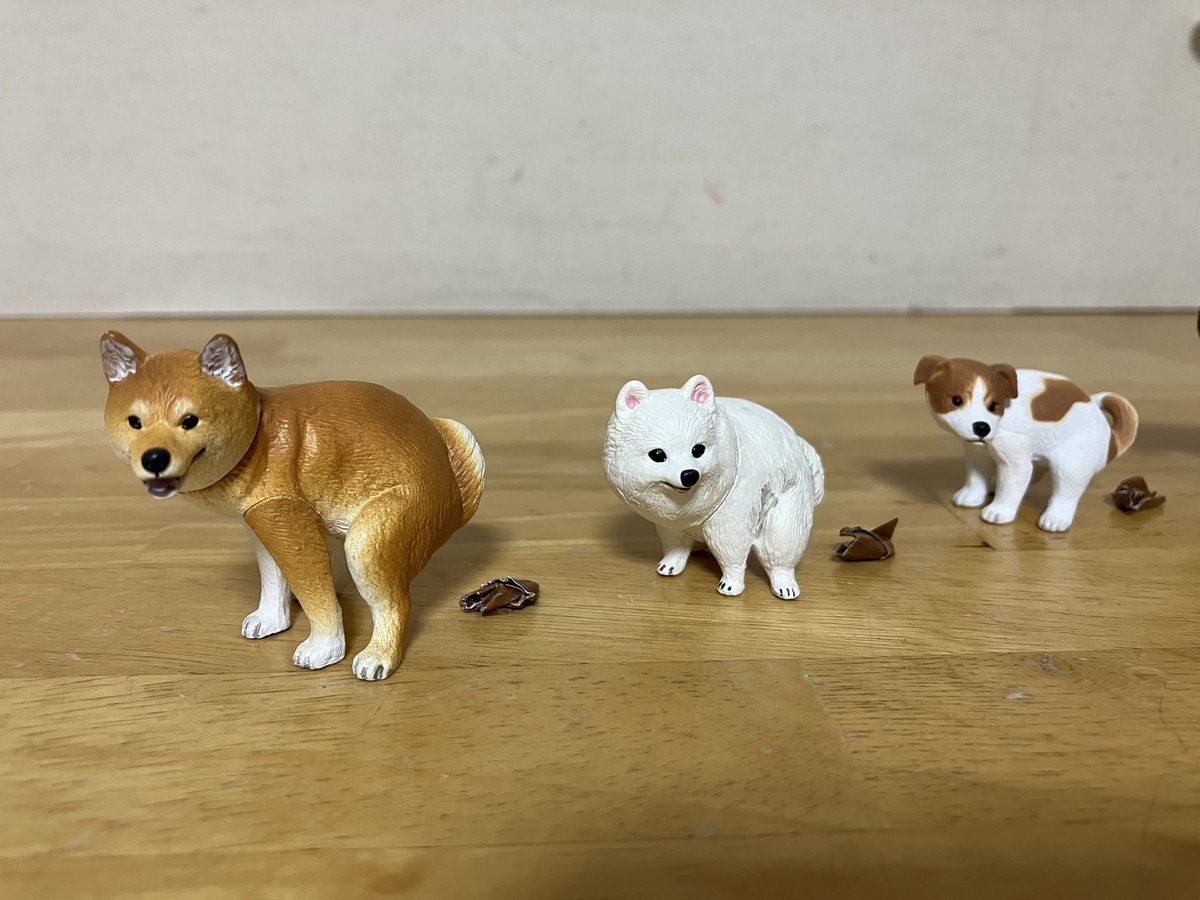ふんばり犬ʕ •́؈•̀ ₎