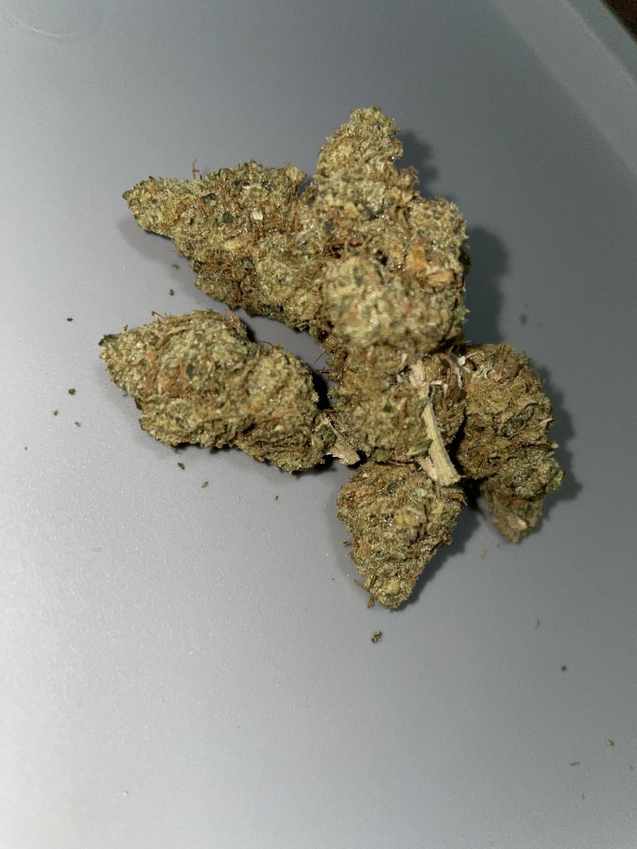 OGクッション笑（良い香り）🦇