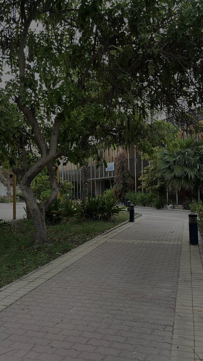 RAJA (@r_allii7l) on Twitter photo الحمدلله أن الإنسان مفطور على قدرة البدء من جديد ، الحمدلله على أن الأمس فات ، واليوم آت ، وأن الخير الوليد لهذا النهار مرهونٌ بظنّي الجميل في الله ❤️ الحمدلله أن الإنسان مفطور على قدرة البدء من جديد ، الحمدلله على أن الأمس فات ، واليوم آت ، وأن الخير الوليد لهذا النهار مرهونٌ بظنّي الجميل في الله ❤️