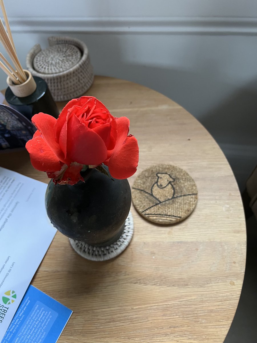 john williams tweet media