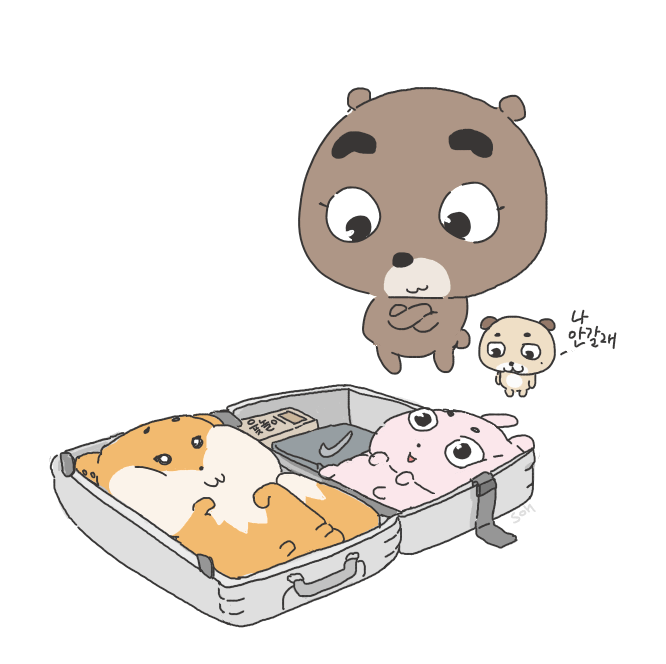 투어 짐 싸기~