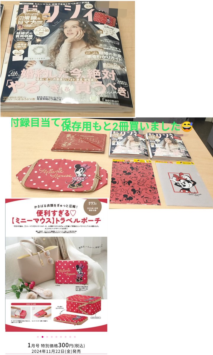 ミニーちゃん #ゼクシィ トラベルポーチ 「セブンイレブン」限定